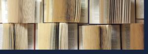 lectura rapida